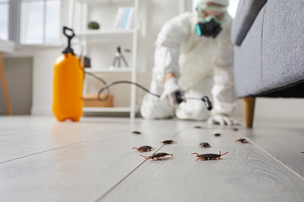 Commercial Kitchen Cockroach Control in Orange City