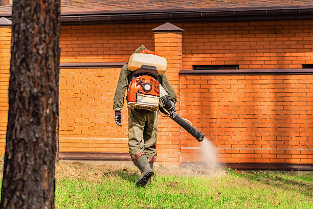 Cockroach Follow-Up and Monitoring in Orange City